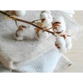 Natural Cotton 